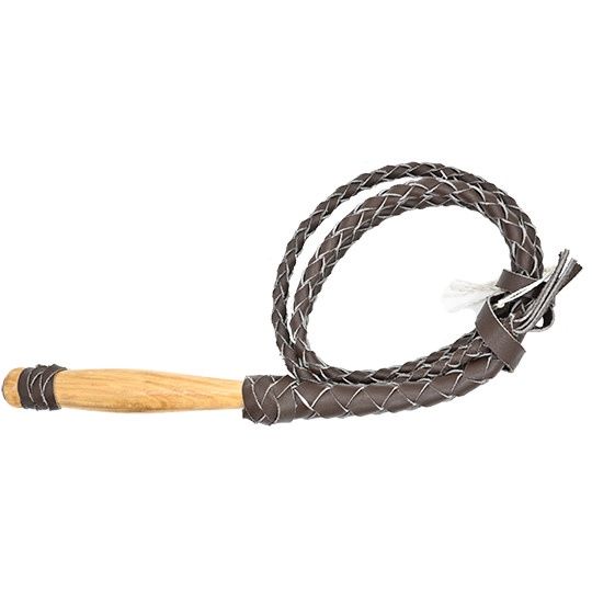 Economy Bull Whip