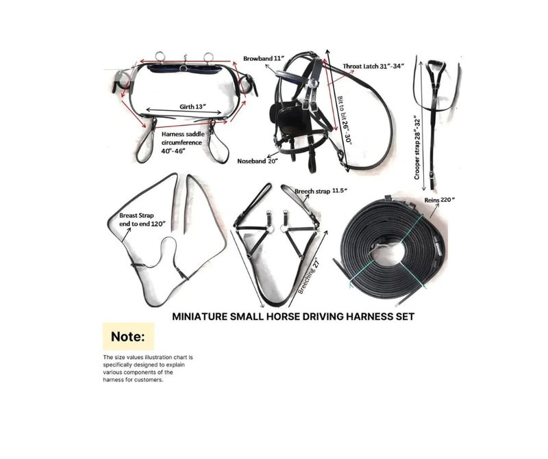 Miniature Driving Harness Set