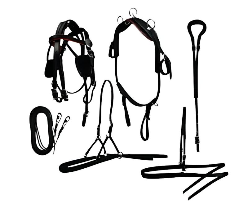 Miniature Driving Harness Set