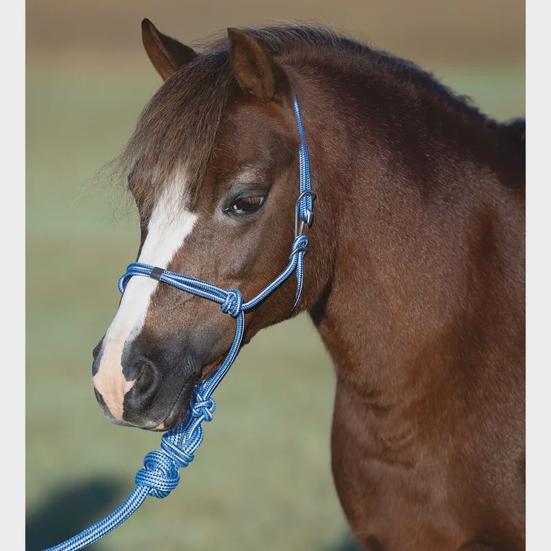 Easy On Rope Halter [Pony]