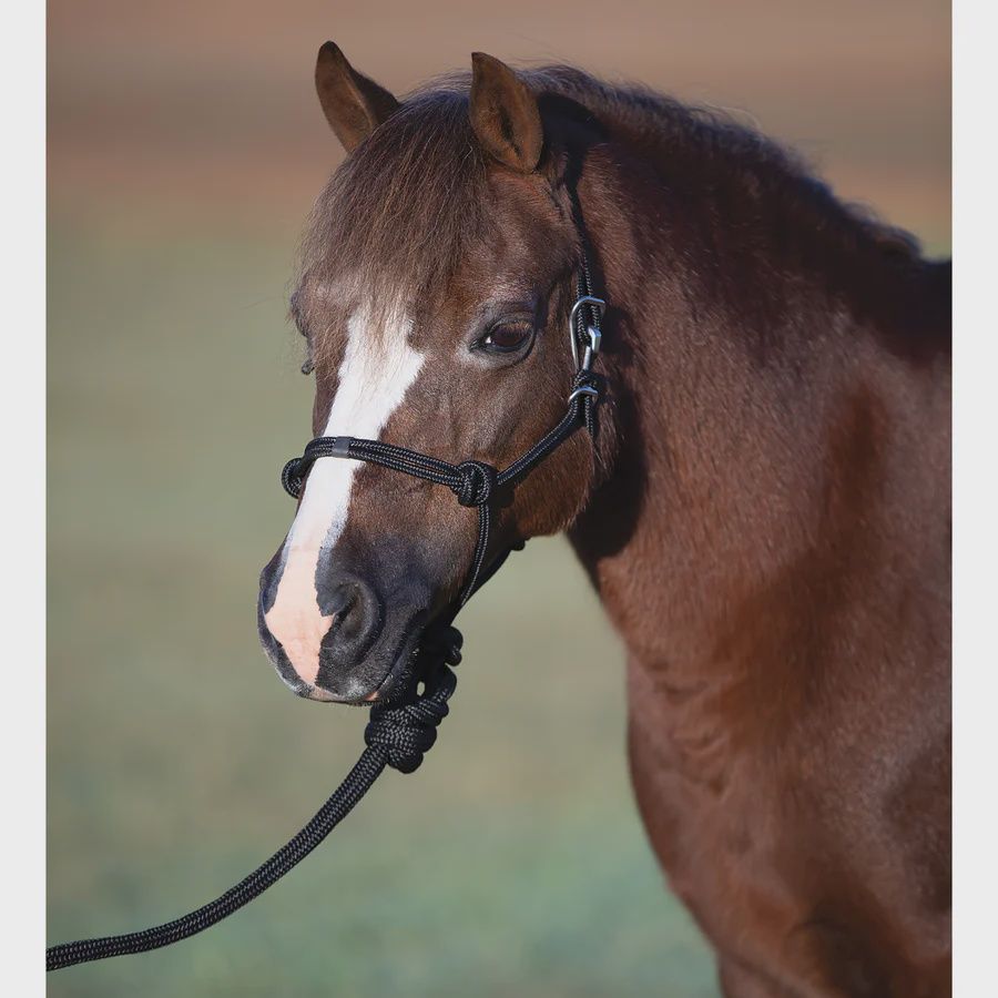 Easy On Rope Halter [Miniature], Color: Black
