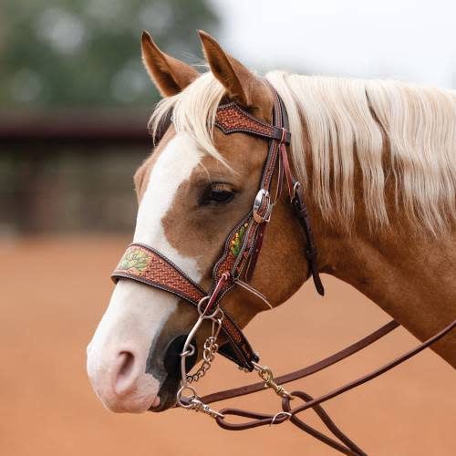 Cactus Browband Headstall