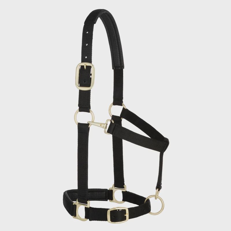 Padded Adjustable Chin and Throat Snap Halter