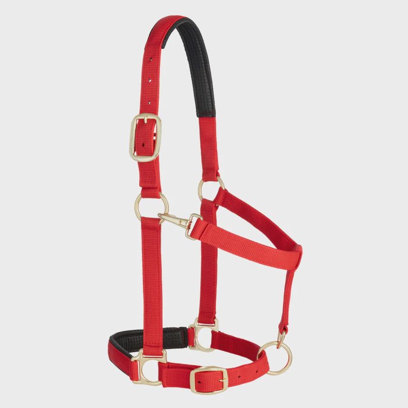 Padded Adjustable Chin and Throat Snap Halter