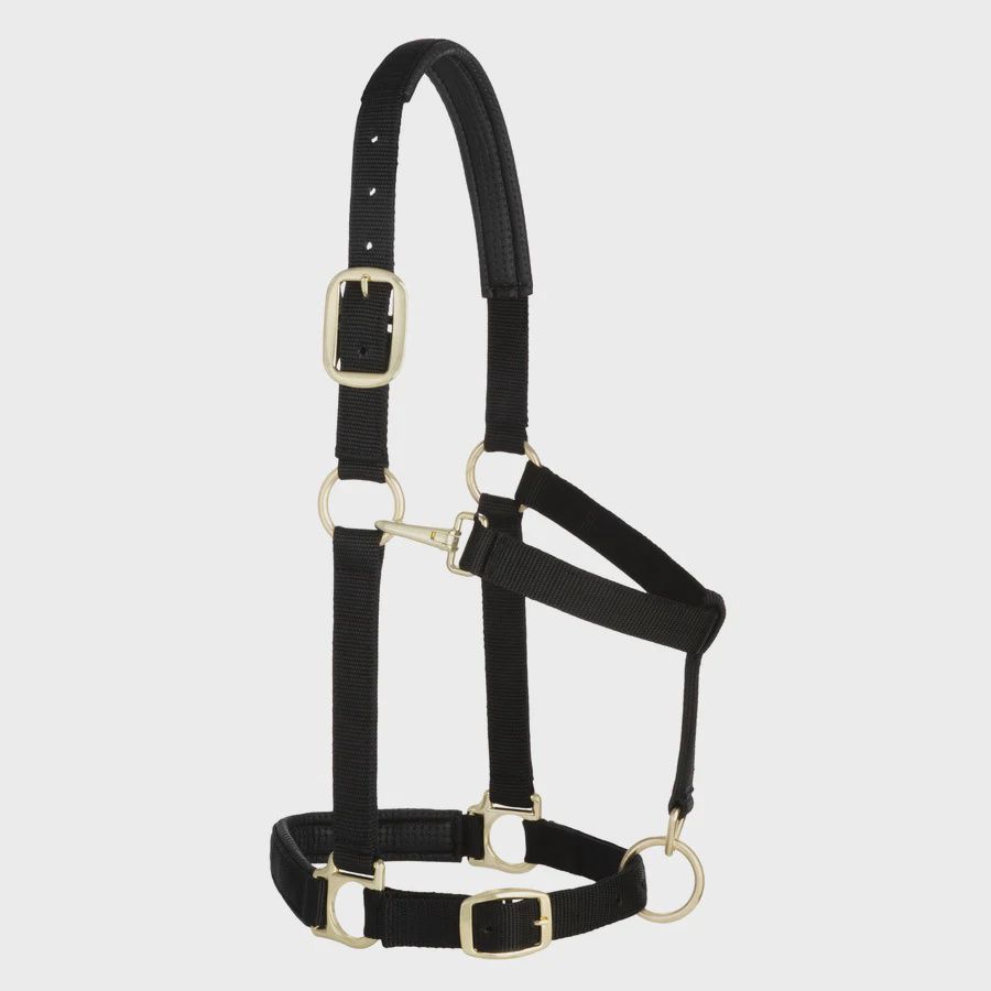 Padded Adjustable Chin and Throat Snap Halter, Size: Small, Color: Black