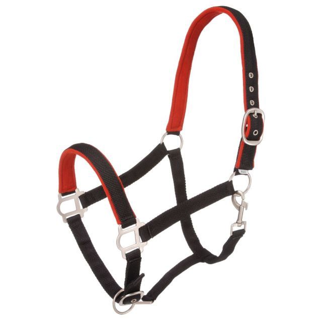 Padded Halter with Satin Hardware