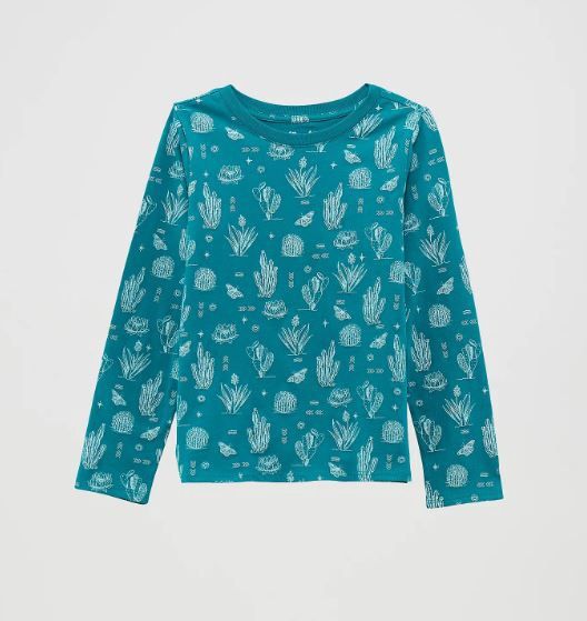 The Mesa- Long Sleeve Western Graphic Tee