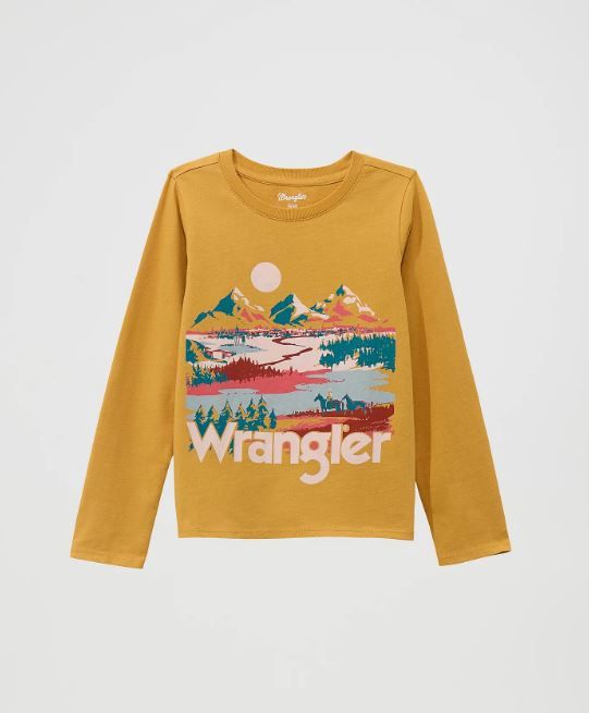 Move Mountains - Long Sleeve Western Graphic Tee
