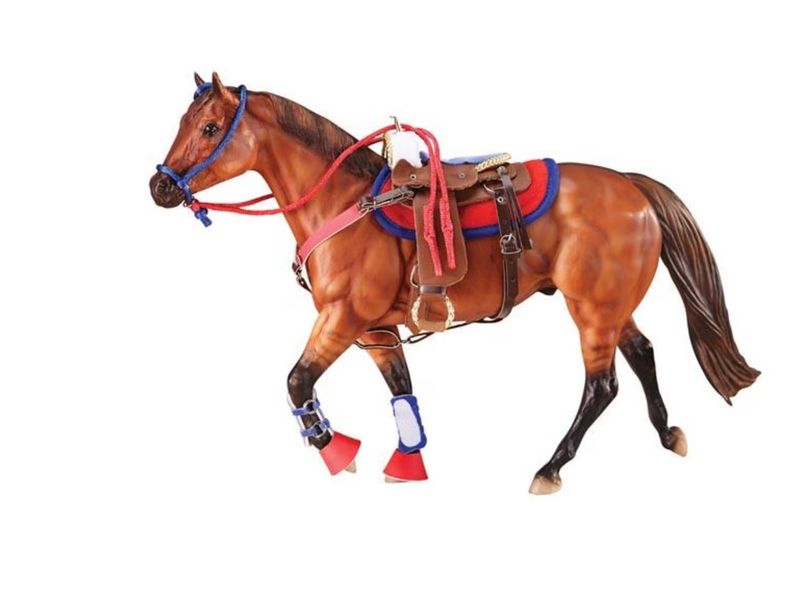 Western Riding Set in Hot Colors