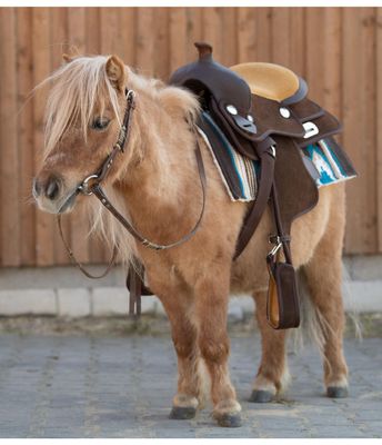 Pony