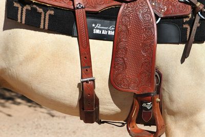Back Cinch