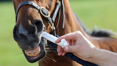 Dewormers
