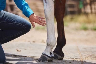 Liniment/Poultice