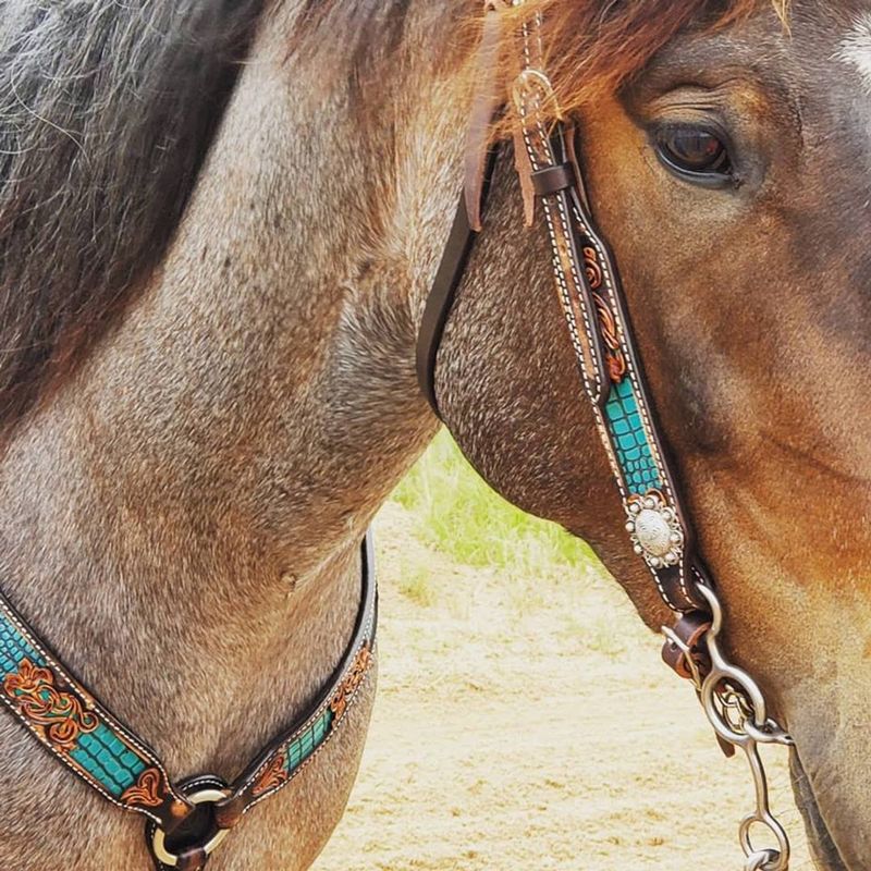 Inlaid Turquoise Gator Print Pony Browband Headstall