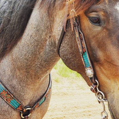 Inlaid Turquoise Gator Print Pony Browband Headstall