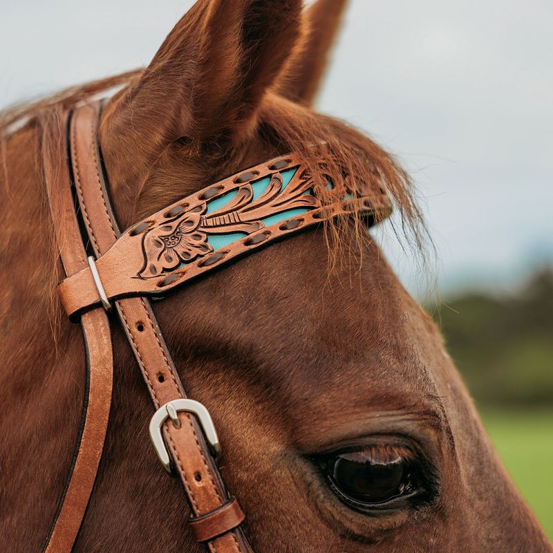 Carico Browband Headstall