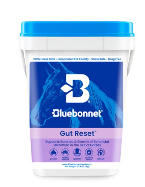 Bluebonnet Feed/Supplements, Style: Gut Reset (ADR Powder 5#)