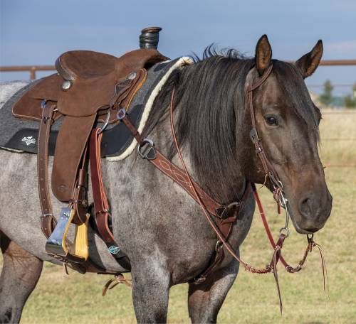 Chocolate Roughout Gunslinger 2" Breastcollar