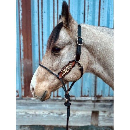 Lariat Nose Halter, Color: Wild Child