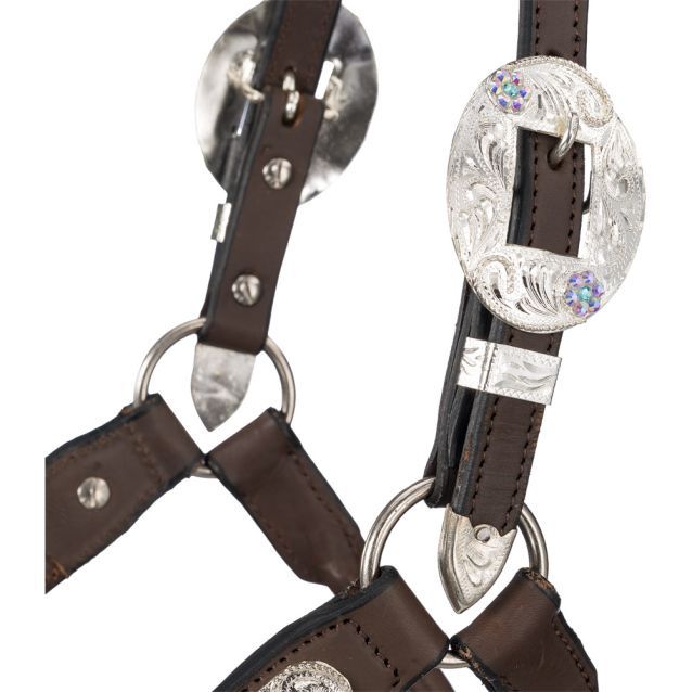 Silver Royal Scroll Show Halter with Stones