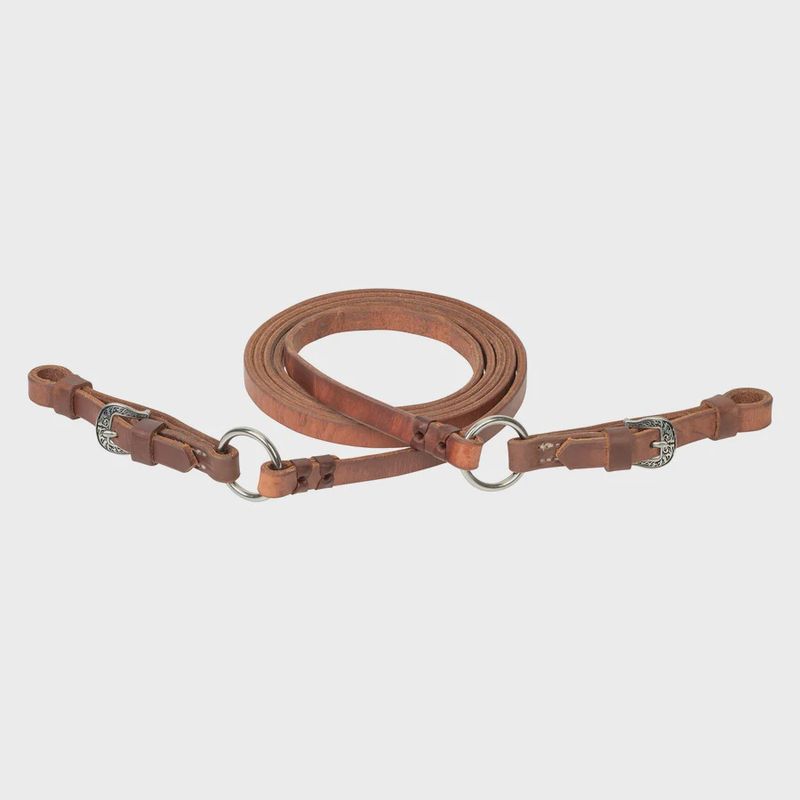 Kalley Krickeberg Signal Rein