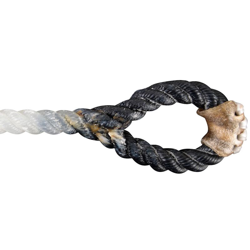 Racer Calf String, Black Eye