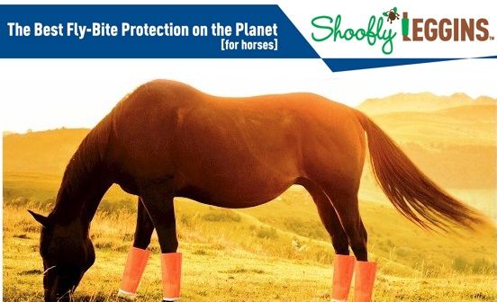 Shoofly Leggins