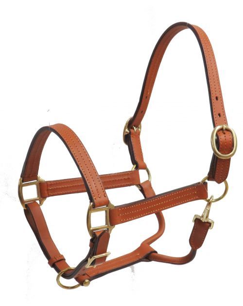 Leather Halter with Brass Hardware