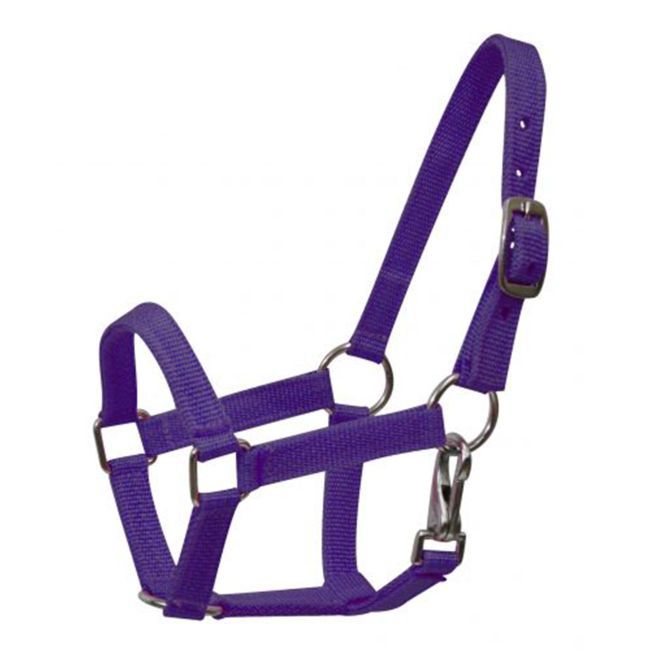 Mini Nylon Halter with Throatlatch Snap