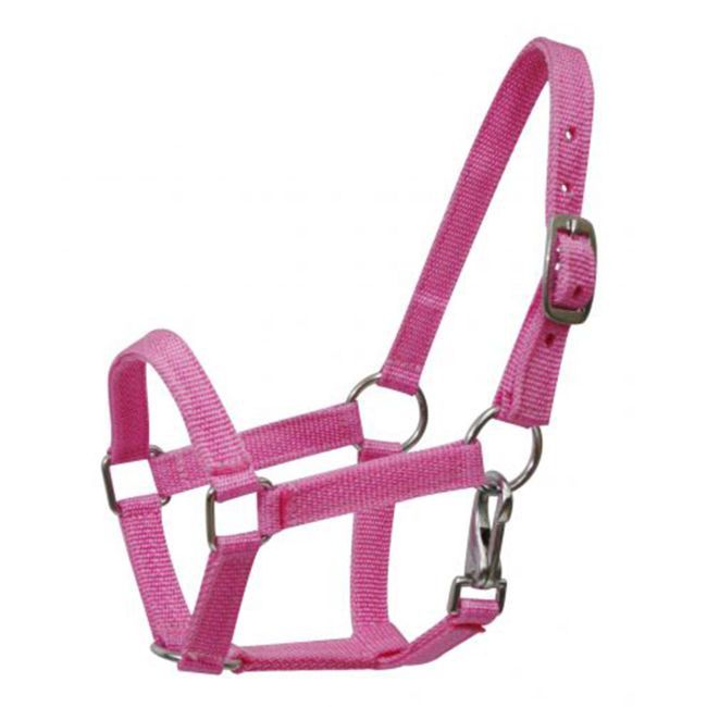 Mini Nylon Halter with Throatlatch Snap