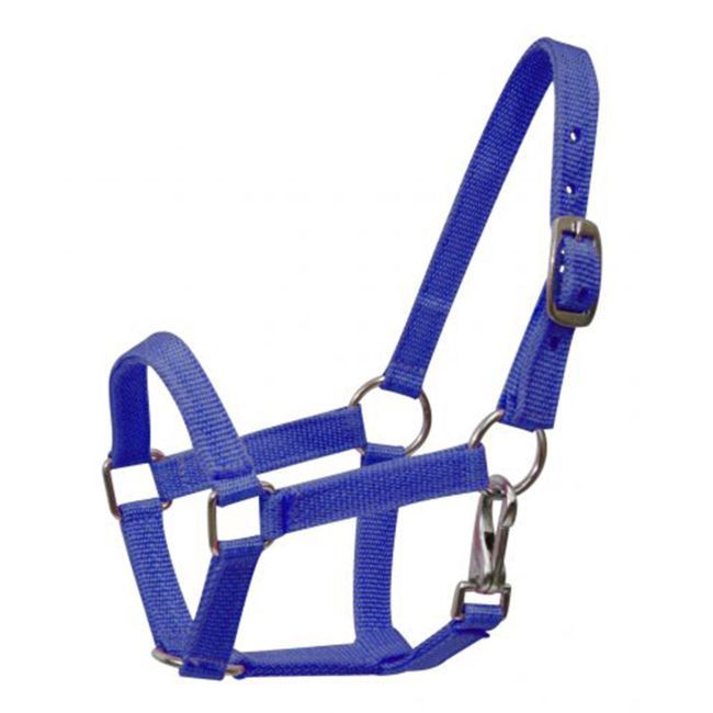 Mini Nylon Halter with Throatlatch Snap, Color: Blue