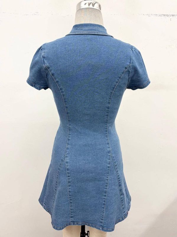 Denim Button-Down Stretch Mini Dress