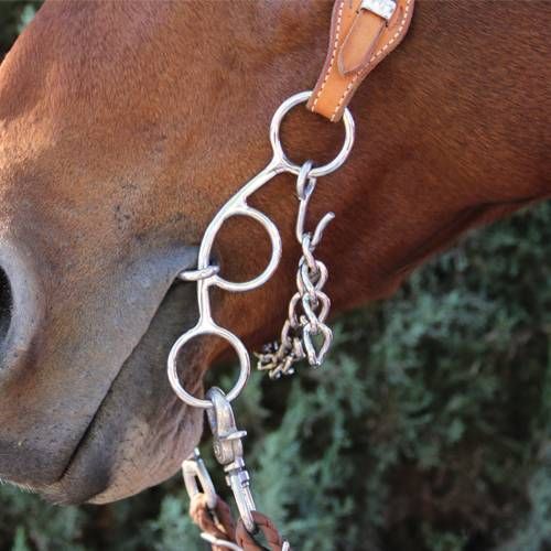 Professional's Choice Futurity Bit 5.5 - 3 Piece Twisted Wire