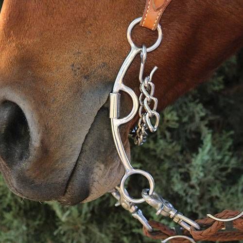 Professional's Choice Derby Bit 6.75" - Smooth Medium Port