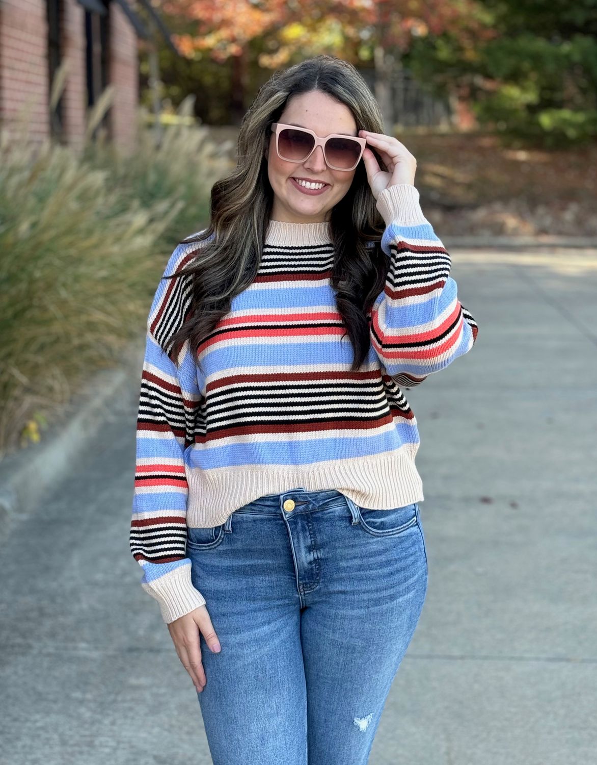 Multi Color Stripe Knit Sweater