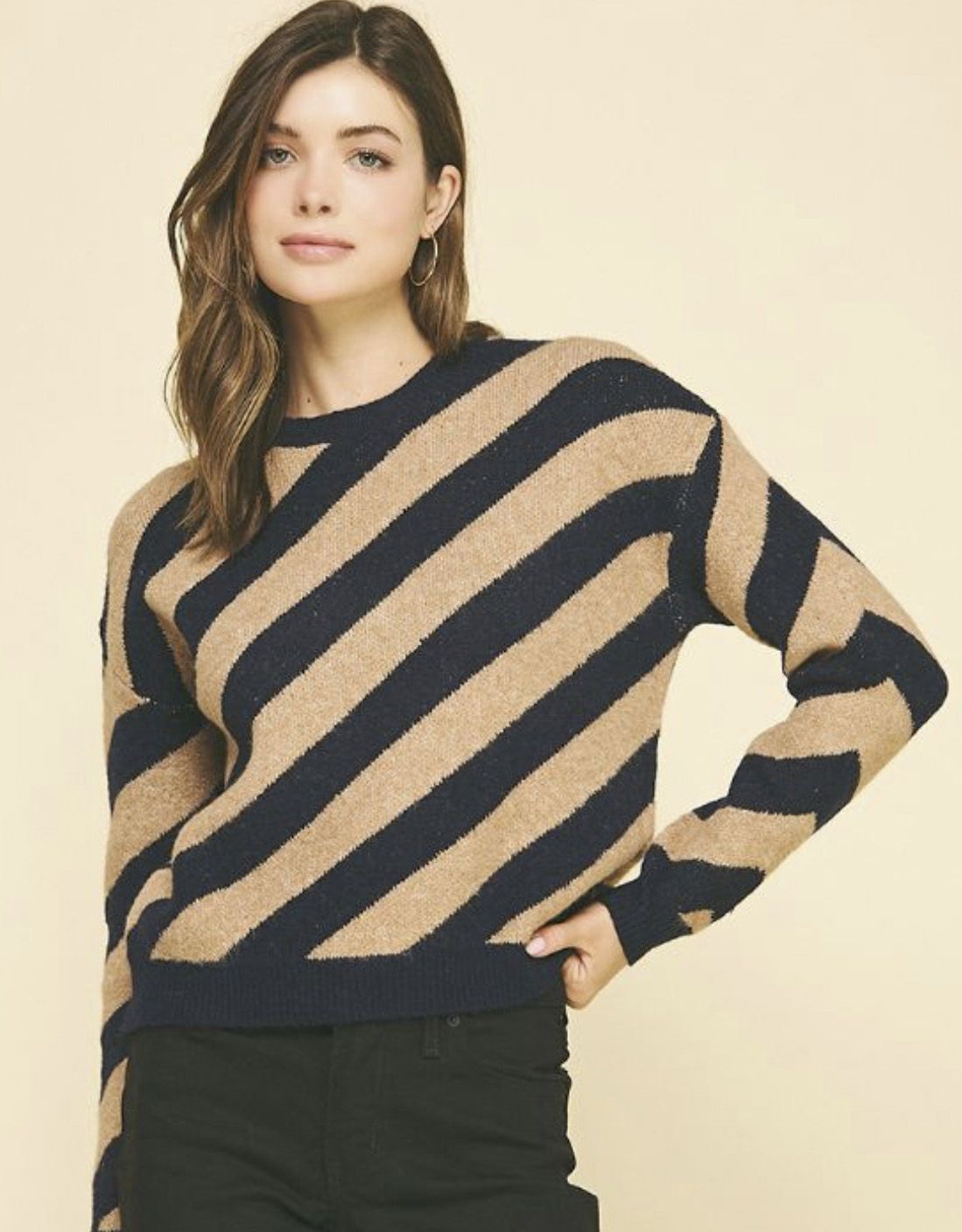Navy Diagonal Stripe Sweater