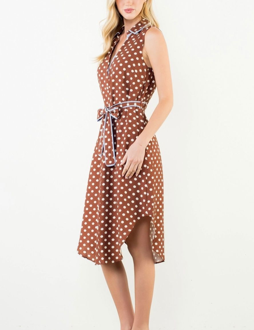 Brown Polka Dot Button Down Dress