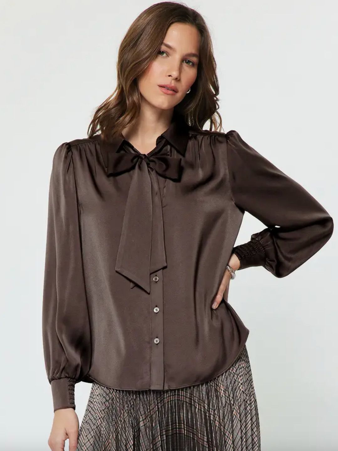 Brown Collared Button Front Blouse with Neck Tie