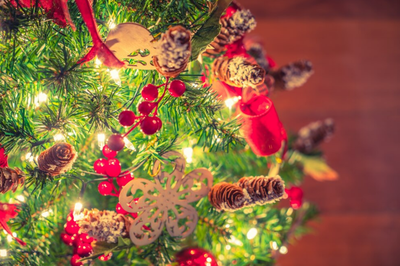 Garland &amp; Lighting