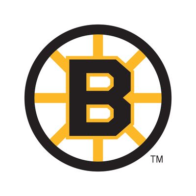 Boston Bruins