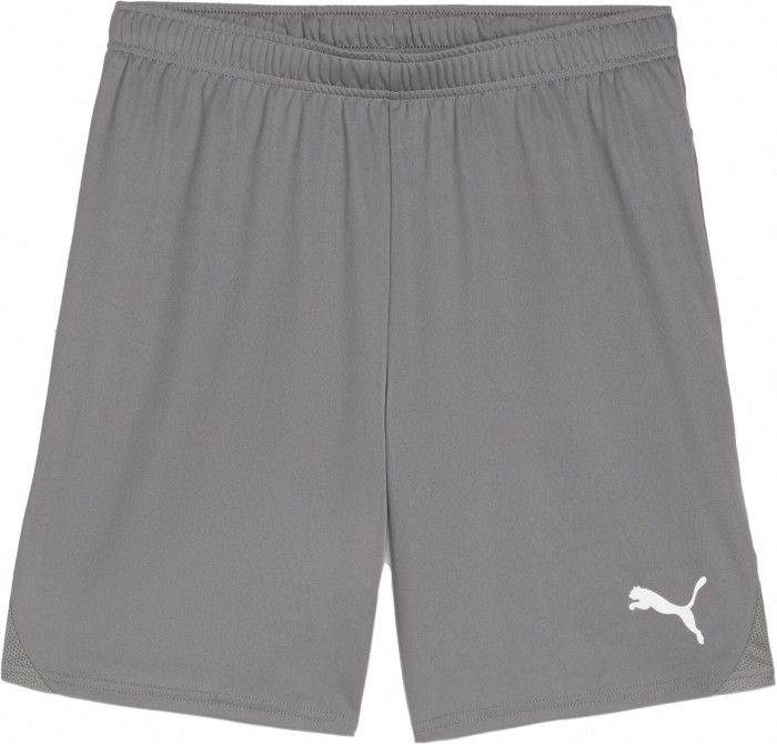 TEAMGOAL SHORT CAST IRON PUMA