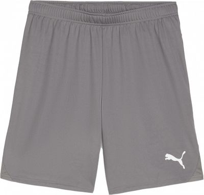 TEAMGOAL SHORT CAST IRON PUMA