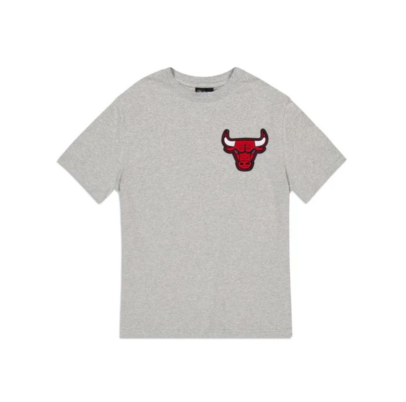 CHICAGO BULLS NBA T-SHIRT SELECT GRAY
