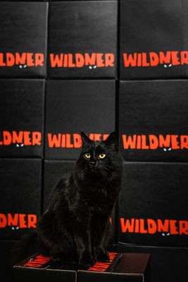 16.12.2025 Weinprobe - Weingut Wildner