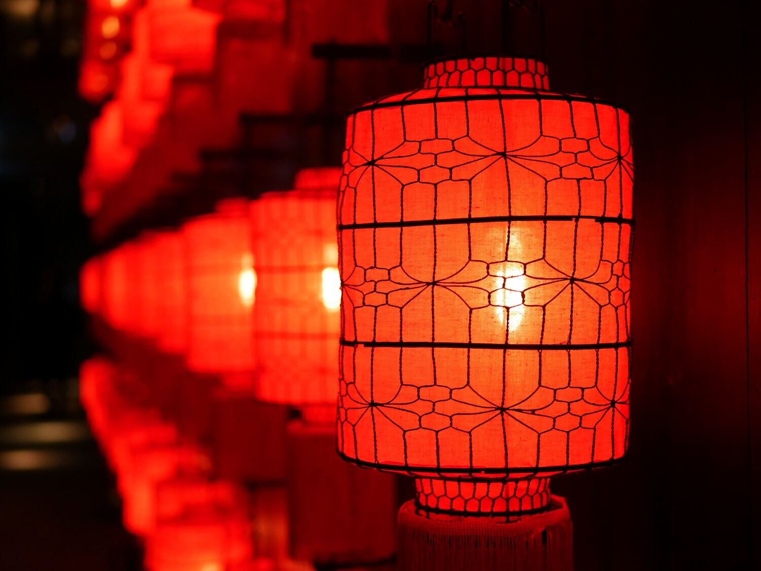 Snowlingo 10 Modules Mandarin Course