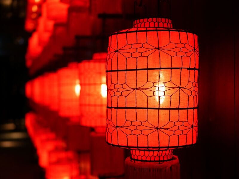 Snowlingo 10 Modules Mandarin Course