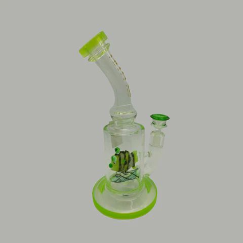 11" Gili Glass Designer Fish Water Pipe