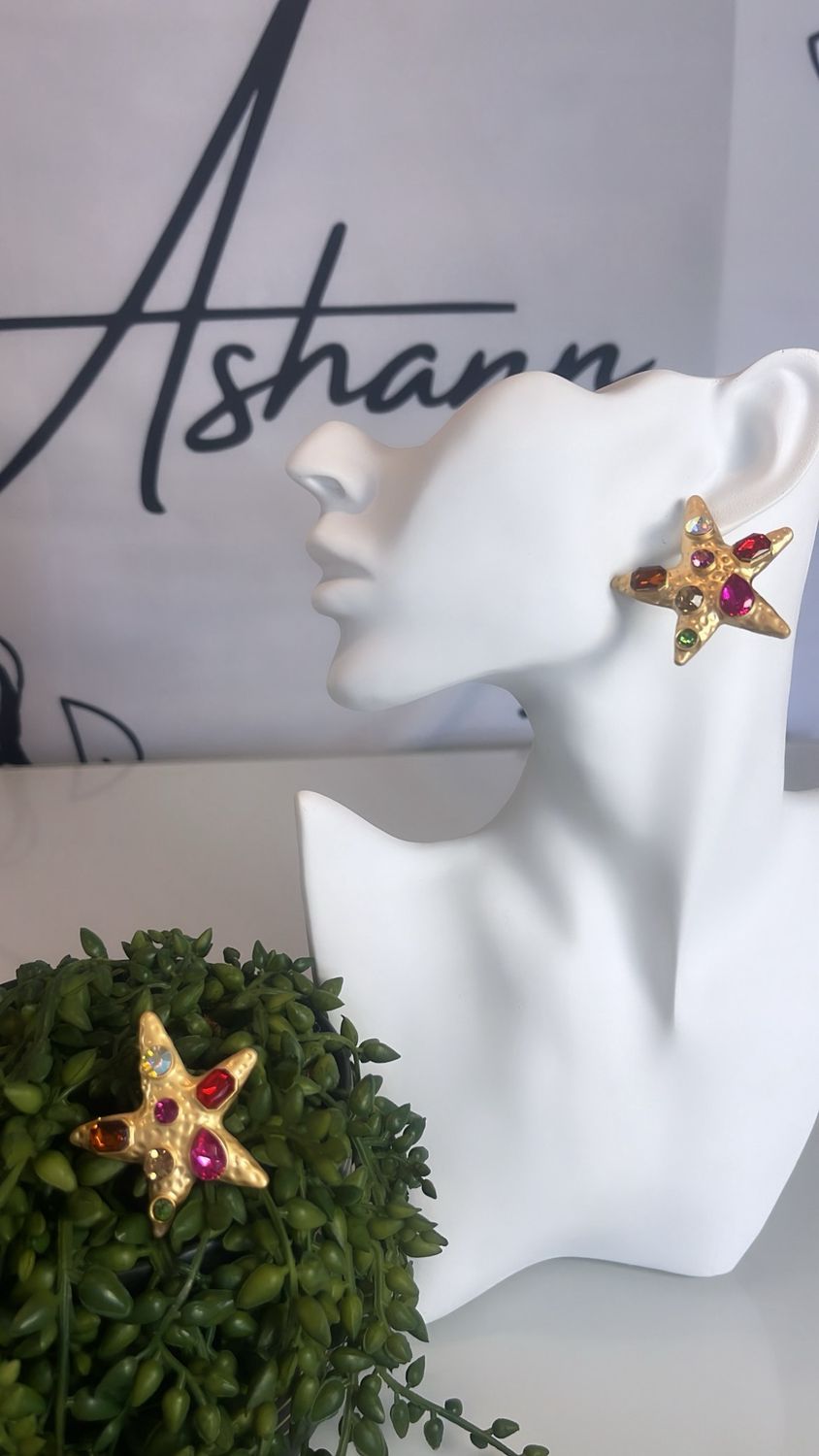 Estrella de mar con piedreía