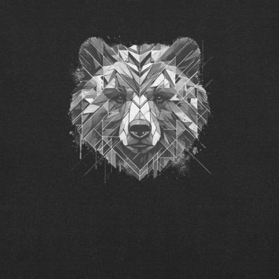 “Urban Guardian” Unisex t-shirt