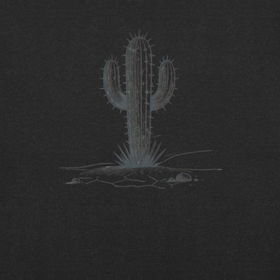 “Desert Resilience” Unisex t-shirt